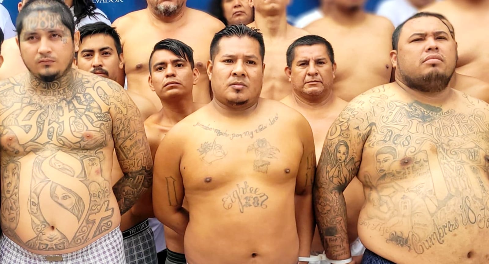 Capturan a varios palabreros, gatilleros, postes y colaboradores en diferentes municipios de San Salvador capturan-a-varios-palabreros-gatilleros-postes-y-colaboradores-en-diferentes-municipios-de-san-salvador
